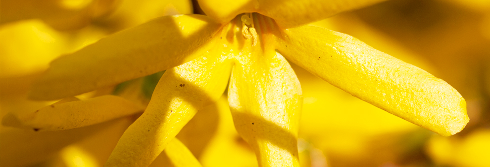 网络ddos监测分析工具